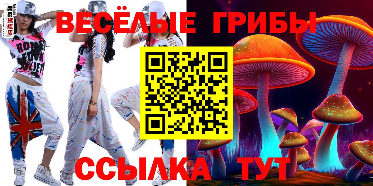 Псилоцибиновые грибы Psilocybine cubensis  Псилоцибиновые грибы прущие грибы  наркошоп  Брянск  Вход с VPN 